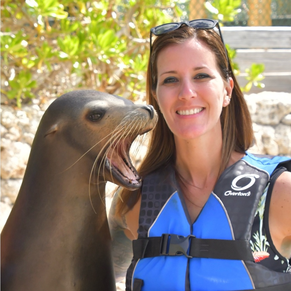 Dive Into Deals - Be Notified When I Go LIVE - Picture 8 of 10